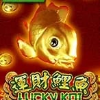 Lucky Koi